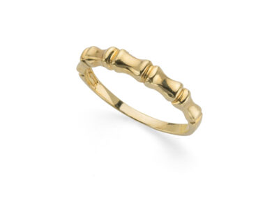 Anello fedina